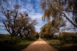 Crédito de la foto: RPM